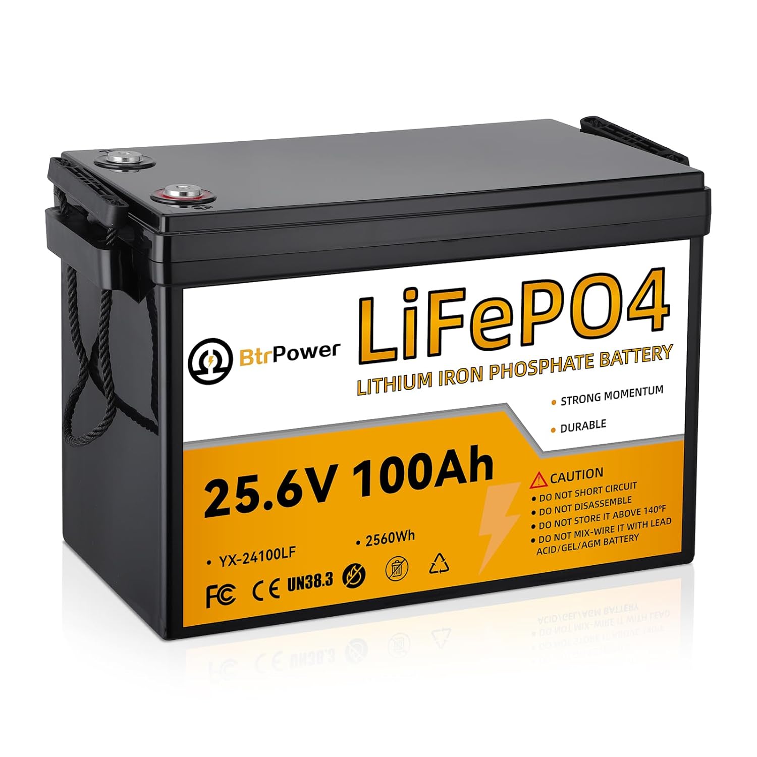 Lithium Battery 100Ah - Литиевая батарея LiFePO4 24В 100Ач, 8000+